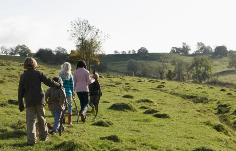 children-walking-in-field-2024-11-03-04-05-54-utc